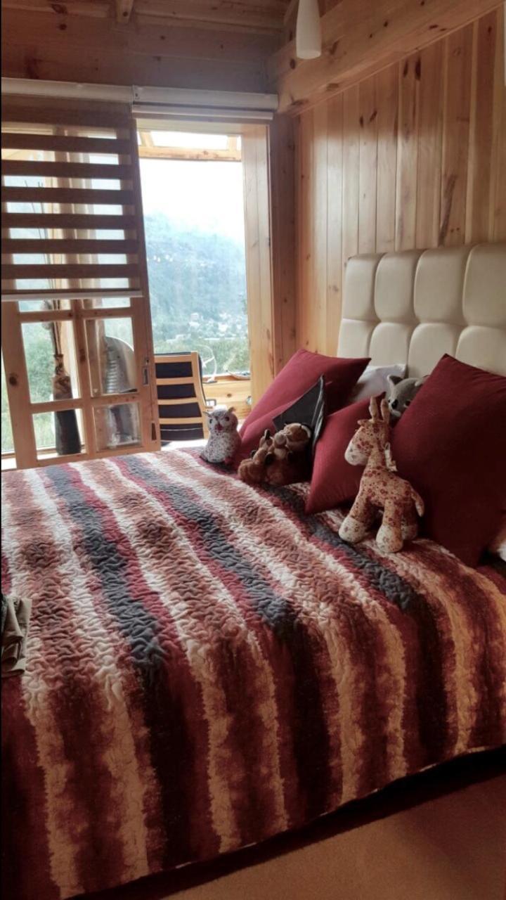 Chalet Windflower Hotel - Manali (Himachal Pradesh), Manali